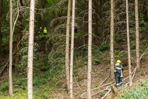 KR B2 Waldbrand 16082026-2