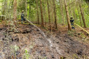 KR B2 Waldbrand 16082026-6