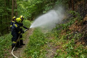 KR B2 Waldbrand 16082026-9
